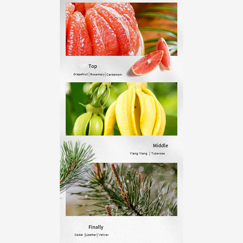 عطر كولونيا للرجال من ديزاينرز، 50 مل/100 مل، يدوم طويلاً